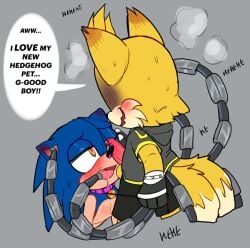affection blushing dick dog_collar drooling ear_play fox fully_clothed gay hand_on_cheek hedgehog imminent_oral imminent_sex leash_pull lustful_gaze maledom mechanical_tentacles nine_(sonic_prime) penis_on_face petplay sonic_prime sonic_the_hedgehog yaoi