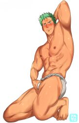 roronoa zoro from one piece by tarorichi