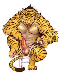 1boy anthro balls erection feline iceman1984 male male_only mammal muscular penis solo tiger