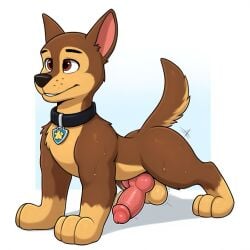 chase (paw patrol) from paw patrol