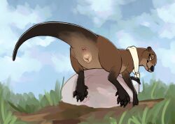 animal_genitalia animal_vulva anus bedroom_eyes blep female feral genitals grass hi_res looking_at_viewer mammal mustelid narrowed_eyes otter paws plant presenting presenting_anus presenting_vulva queenkoko river_otter scarf seductive simple_background sky solo tillie_(queenkoko) tongue tongue_out vulva