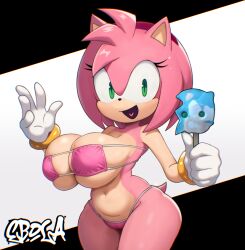 amy rose from sonic (series) by ecolialust