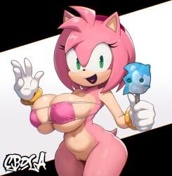 amy rose from sonic (series) by ecolialust