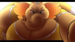 elephant daisy from mario (series) by jouigidragon