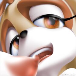 cream_the_rabbit nipple smile sonic_(series) tcprod