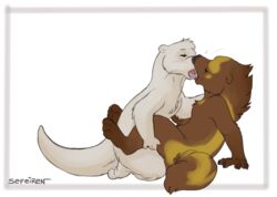 2016 anthro blush brown_fur brown_nose claws duo female fur hand_on_shoulder hindpaw kissing kneeling leg_grab male mammal mustelid nude open_mouth otter otterface paws penetration reed romantic_couple saliva sefeiren sex simple_background sitting straight thick_tail tongue tongue_out vaginal_penetration whiskers white_background white_fur wolverine