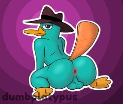 anthro ass backsack balls big_butt brown_eyes digital_drawing_(artwork) digital_media_(artwork) disney dumbplatypus fur genitals hi_res huge_butt looking_at_viewer looking_back male male_only mammal monotreme perry_the_platypus phineas_and_ferb platypus rear_view shaded solo tail teal_body teal_fur