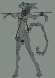 anthro ball_stretcher balls bdsm bdsm_collar bdsm_gear belly_nipples bondage bound cock_and_ball_torture collar cuffed_wrists domestic_cat felid feline felis front_view genital_piercing genital_torture genitals green_background hands_tied hi_res humanoid_genitalia humanoid_penis kitdoll leash male male_anthro mammal nipple_piercing nipples nude_anthro nude_male pain penis penis_piercing piercing piercing_bondage piercing_fetish piercing_outline posture_collar prince_albert_piercing restraints ribs rope rope_around_neck rope_bondage rope_harness rope_leash simple_background skinny skinny_anthro skinny_male slim_anthro slim_male solo standing submissive submissive_anthro submissive_male tail tail_tied thick_collar thin_tail torture