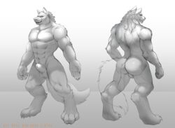 2016 abs absurd_res animal_genitalia anthro ass backsack balls biceps big_muscles canine digitigrade fully_sheathed greyscale hi_res mammal model_sheet monochrome multiple_angles muscular nude pecs sheath smile solo standing wolf xuan_sirius