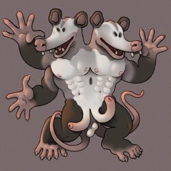 3_arms abs american_opossum anthro bald_tail belly brown_body brown_fur conjoined curved_penis duo erection fangs foreskin fur genitals glans hi_res long_muzzle long_penis male mammal marsupial multi_arm multi_limb muscular muscular_male mutated mutation nipples pecs penis pink_glans pink_nipples pink_nose pink_palms pink_soles pink_tail ravuer simple_background small_eyes smile tail teeth thin_tail white_belly
