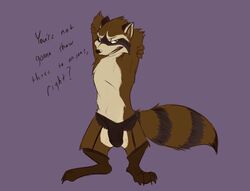 anthro clothed clothing crossdressing dialogue english_text flaccid flat_colors fluffy fluffy_tail garter garter_belt garter_straps guardians_of_the_galaxy hands_behind_head humanoid_penis looking_at_viewer male male_only mammal marvel open_mouth penis penis_outline pinup pose raccoon raised_arm rocket_raccoon skunkjunkie solo talking_to_viewer text thong topless