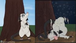 absurd_res american_opossum black_ears black_tail blue_eyes bodily_fluids bukkake cum cum_in_vagina cum_inside dreamworks dreamworks_animation female feral fur genital_fluids heather_(over_the_hedge) hi_res mammal marsupial over_the_hedge paramount_pictures pink_nose solo tail theoryofstrings virginia_opossum white_body white_fur