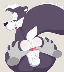 anal ass balls black_nose half-closed_eyes looney_tunes mammal pepe_le_pew simple_background skunk smooth_fur warner_brothers