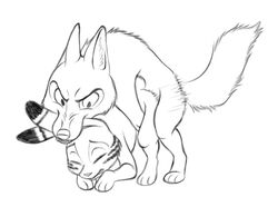 bite black_and_white canine disney duo feral feral_on_feral forced fox gay interspecies jack_savage lagomorph maegsker male male_only mammal nick_wilde nick_wilde_(artist) penetration predator/prey rabbit sex yaoi zootopia