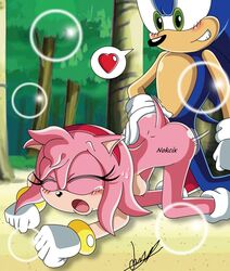 2012 amy_rose cum doggy_style female from_behind hedgehog male nokcix penis sega sex size_difference small_dom_big_sub sonic_(series) sonic_the_hedgehog sonictopfan straight