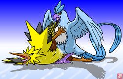 articuno black_feathers blue_feathers dragon_soul_e legendary_pokemon pokemon pokemon_(species) sex tagme yellow_feathers zapdos