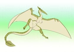 2016 4_fingers anthro anus areola armpits ass beak big_breasts breasts claws dinosaur female green_background green_claws green_horn green_scales horn looking_at_viewer membranous_wings navel nipples nude pink_nipples pteranodon pussy rhamphorhynchus sanfingulipunrapin scales scalie simple_background smile solo stripes thick_thighs toe_claws wide_hips wings yellow_eyes