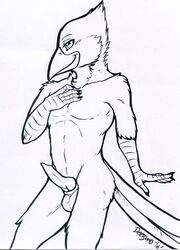 1boy 2016 anthro avian balls beak bird black_and_white deezmo feathers hi_res looking_at_viewer male male_only monochrome nude penis pinup pose presenting solo superb_fairy_wren tallow_(character) wren