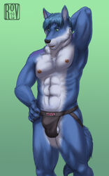 1boy 2012 abs anthro armpits athletic balls black_nose black_underwear blue_fur blue_hair bulge canine claws clothing dicewolf ear_piercing fluffy fluffy_tail front_view fur green_background green_eyes hair hand_behind_head hand_on_hip inner_ear_fluff jockstrap male male_only mammal multicolored_fur nipples partially_clothed pecs piercing portrait raised_eyebrow rov simple_background solo standing sweat three-quarter_portrait topless two_tone_fur underwear watermark white_fur wolf