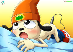 anthro anthro_only bbmbbf bed blush canine hat male microphone moaning palcomix pants_around_ankles pants_down parappa parappa_the_rapper penis rear_deliveries solo solo_male tagme video_games yaoi