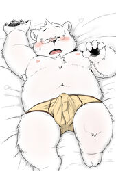 blush briefs bulge canine closed_eyes clothing erection humanoid_penis kiyo male male_only mammal navel nipples obese open_mouth overweight pawpads penis simple_background solo underwear