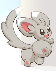 anus ass balls feral looking_at_viewer male minccino nintendo open_mouth pokemon pokemon_(species) simple_background smile solo white_background yowesephth