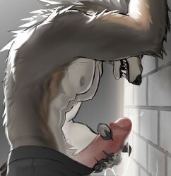 2025 abs anthro areola arm_tuft armpit_hair bared_teeth black_boxer_briefs black_clothing black_nose black_underwear bodily_fluids body_hair boxer_briefs boxers_(clothing) boxers_down brick brick_wall brown_body brown_fur brown_nipples canid canine canis claws clothed clothing countershading crotch_tuft digital_drawing_(artwork) digital_media_(artwork) erection excessive_genital_fluids excessive_precum fangs fingers fluffy fur genital_fluids genitals grey_background gums hi_res humanoid_genitalia humanoid_penis kojiray leaking_precum leaning_on_wall looking_down male male_anthro mammal masturbation multicolored_body multicolored_fur muscular muscular_anthro muscular_male neck_tuft nipples partially_clothed partially_clothed_anthro partially_clothed_male pecs penis penis_grab precum precum_on_hand precum_on_penis precum_squirt precum_string raised_arm saliva shoulder_tuft side_view simple_background snarling solo tan_body tan_countershading teeth topless topless_anthro topless_male tuft underwear underwear_down wall_(structure) wolf