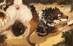 after_anal anus arsauron balls big_balls bodily_fluids brown_body brown_fur bubble butt canid canine cum cum_bubble cum_inside feral fur gaping gaping_anus genital_fluids genitals greame hi_res looking_at_viewer male mammal perineum pink_anus pink_tongue solo tongue white_body white_fur yellow_eyes