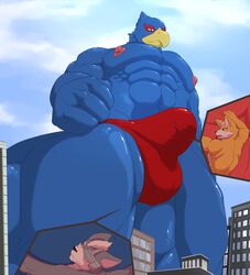 avian bulge canine clothing croiyan falco_lombardi fox fox_mccloud gay internal macro male male_only mammal micro nintendo size_difference speedo star_fox swimsuit video_games wolf wolf_o'donnell yaoi