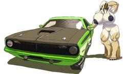 afghan anthro breasts canine car female gideon green_eyes hair hyper hyper_breasts mammal muscular nipples pose simple_background solo vehicle white_background