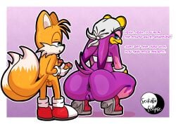 1boy 1girls anus defeated double_penis imminent_sex interspecies looking_back seikatsueclipse sonic_(series) sonic_riders sonic_the_hedgehog_(series) squatting tails_the_fox two_penises wave_the_swallow