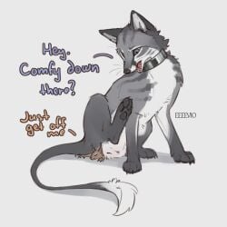 1:1 blush canid canine claws collar dialogue digital_drawing_(artwork) digital_media_(artwork) digitigrade eeeevio english_text explicitly_stated_nonconsent feet female female_feral feral forced fox fur fur_markings genitals hindpaw hybrid interspecies larger_female larger_feral larger_pred lying mammal markings mel_(eeeevio) pawpads paws pouch_(anatomy) predator/prey presenting presenting_vulva quadruped ring rodent sciurid sekhmetha shy silver_(metal) sitting sitting_on_another size_difference size_play smaller_feral snout teasing text tree_squirrel vulva whisker_spots whiskers