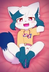 tetra (yonkagor) from yonkagor