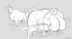 1boy1girl anthro balls bent_over big_breasts bovine breasts female feral gillpanda huge_breasts male mammal penis slightly_chubby teats udders