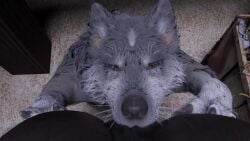 2026 3d_animation animated anonymous_artist anus artist_request beast_rimming beastiality canine female_horse feral_female feral_male feral_on_feral furry horse licking_pussy looping_animation mare pussy rimming stable tagme torgal_(final_fantasy_xvi) video wolf zoophilia