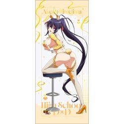 akeno himejima from high school dxd by artist request