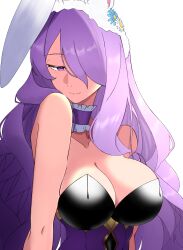 camilla (fire emblem) from fire emblem