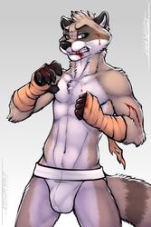 5_fingers anthro bandage blood bulge clothing jockstrap male male_only mammal procyonid raccoon simple_background standing tsaiwolf underwear