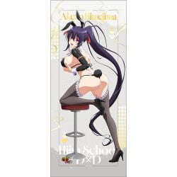 akeno himejima from high school dxd by artist request