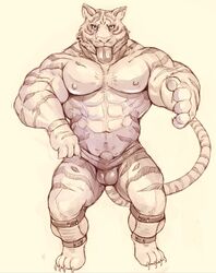 anthro balls feline iceman1984 male male_only mammal muscular nipples penis sketch tiger white_tiger