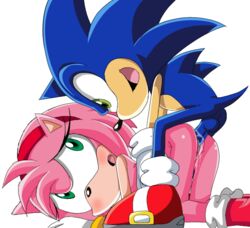 amy_rose bent_over blue_fur furry green_eyes hedgehog mammal sj7 sonic_(series) sonic_the_hedgehog sonic_x vaginal_penetration