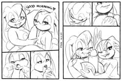 cream the rabbit from sonic (series) by xylas