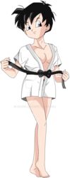 dragon_ball dragon_ball_z female human msjoelart short_hair solo solo_female teenager videl