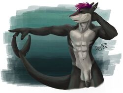 1boy abs anthro balls dognextdoor ear_piercing fish flaccid humanoid_penis male male_only marine navel nude penis piercing shark simple_background solo standing