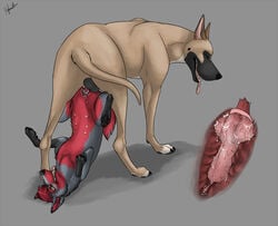 animal_genitalia animal_penis animal_pussy balls canine canine_penis canine_pussy cum cum_in_pussy cum_inside cutaway duo female feral fur great_dane hybernation knot knotting male mammal necktie penetration penis pussy sex straight tongue tongue_out vaginal_penetration