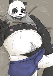 2025 anthro balls bear belly black_body black_nose blush clothed clothing clothing_lift furry genitals giant_panda hi_res kemono lying male mammal moobs navel nipples overweight overweight_male shirt shirt_lift solo tobyou_222 topwear underwear white_body