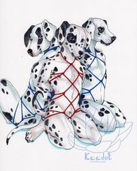 2016 animal_genitalia anthro ass balls black_fur black_nose black_pawpads blue_eyes bondage bound canine claws dalmatian english_text fur group keedot kneeling looking_at_viewer male male_only mammal multiple_subs nude pawpads red_eyes rope sheath signature simple_background spots text toe_claws watermark white_background white_fur