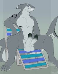 2_penises abs animal_genitalia animal_penis anthro balls chair claws digitigrade diphallia diphallism fish furniture genitals hemipenes hi_res horizontal_diphallism looking_at_viewer male marine multi_genitalia multi_penis muscular nude penis plagueburd shark smile solo