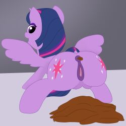 absurd_res ass breasts crotch_breasts feces female feral friendship_is_magic fskindness genitals hasbro hi_res my_little_pony pooping_on_floor pussy raised_tail scat solo tail teats twilight_sparkle_(mlp) vulva