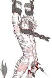 1boy 2012 animal_genitalia animal_penis anthro arms_above_head balls ballsack blood blue_eyes body_fur bondage bound chains cock_and_ball_torture collar crying equine forced fully_sheathed genital_mutilation gore grey_hair grey_stripes guro handcuffs hi_res hook huru male male_nipples male_only mammal mane nude_male open_mouth pain penis raised_arm sadism scars scrotum shackles sheath simple_background solo tail_tuft tears testicles thewielder torture tuft two_tone_fur two_tone_hair white_background white_fur white_hair zebra